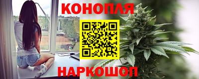спиды Гагарин