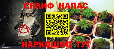 спиды Гагарин